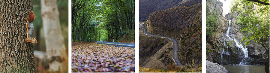 El otoño ofrece múltiples opciones en Istanbul y alrededores